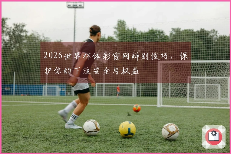 2026世界杯体彩官网辨别技巧，保护你的下注安全与权益