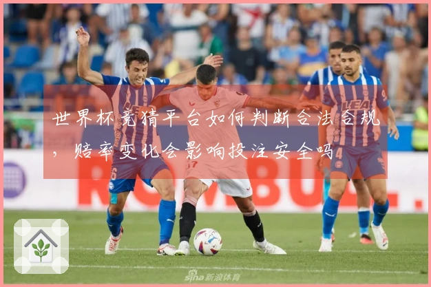 世界杯竞猜平台如何判断合法合规，赔率变化会影响投注安全吗