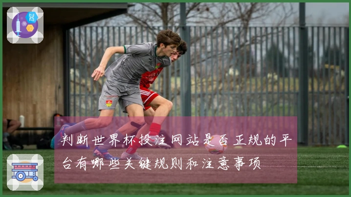 判断世界杯投注网站是否正规的平台有哪些关键规则和注意事项