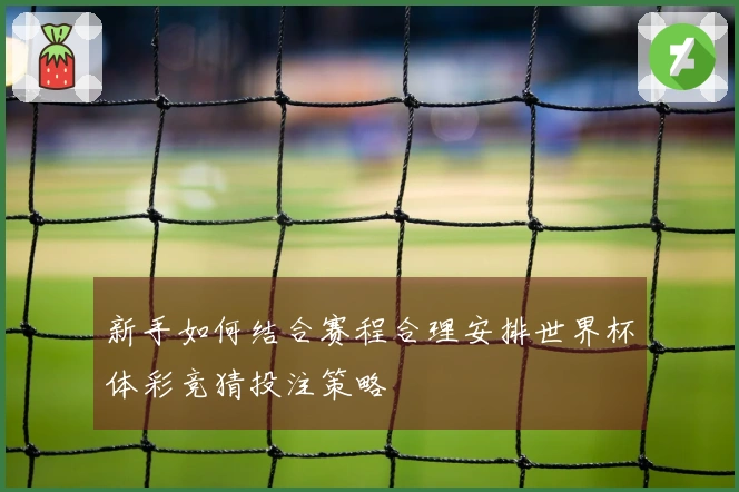 新手如何结合赛程合理安排世界杯体彩竞猜投注策略