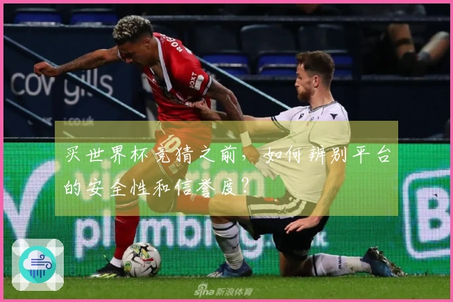 买世界杯竞猜之前，如何辨别平台的安全性和信誉度？