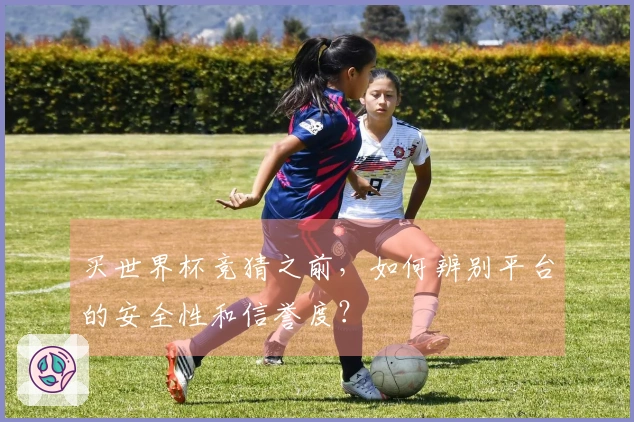 买世界杯竞猜之前，如何辨别平台的安全性和信誉度？