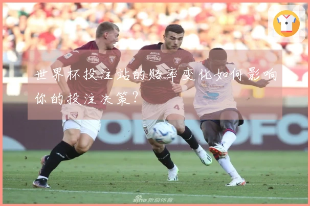世界杯投注站的赔率变化如何影响你的投注决策？