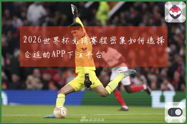 2026世界杯竞猜赛程密集如何选择合适的APP下注平台