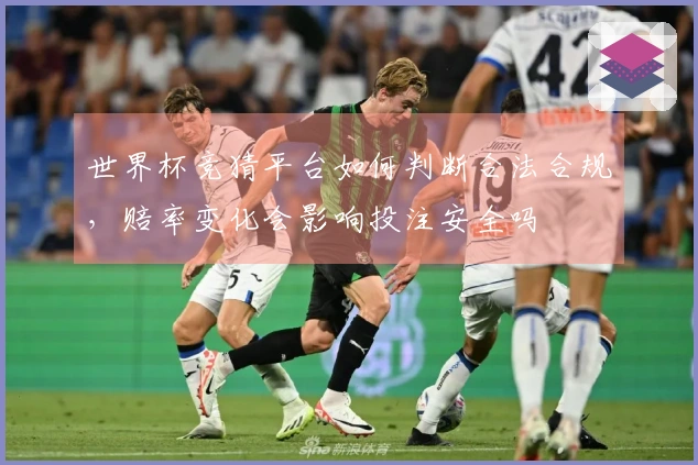 世界杯竞猜平台如何判断合法合规，赔率变化会影响投注安全吗