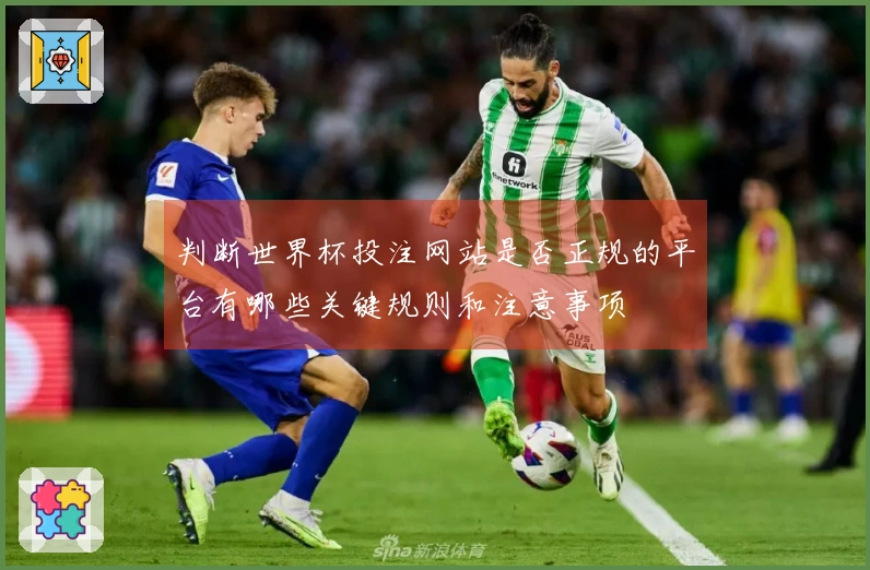 判断世界杯投注网站是否正规的平台有哪些关键规则和注意事项